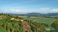 Hamparan sawah di Desa Ogomoli