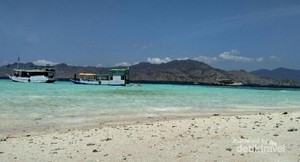 Tempat yang Wajib Didatangi di Taman Nasional Komodo