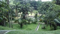 Taman yang indah  sejuk cocok untuk santai bersama keluarga