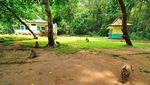 Tenangkan Pikiran Saat Berlibur di Taman Wisata Alam Pananjung
