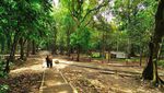 Tenangkan Pikiran Saat Berlibur di Taman Wisata Alam Pananjung