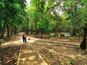 Tenangkan Pikiran Saat Berlibur di Taman Wisata Alam Pananjung