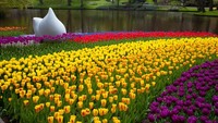 Harmonisasi sempurna perpaduan di antara warna-warni tulip