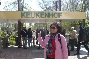 Tenggelam Dalam Lautan Tulip di Keukenhof