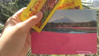 Jangan lupa selalu bawa Tolak Angin kemana pun kamu pergi, Tolak Angin dan Post Card dari Shibazakura