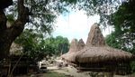 Tentram dan Damai di Kampung Adat Prai Ijing Sumba