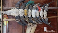 Ornamen yg biasa menghiasi rumah-rumah adat Sumba.