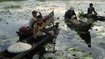 Tentramnya Kehidupan Kampung Terapung Sungai Lanowulu