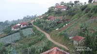 Kampung Ciburial di tepian Bandung nan asri