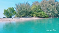 Hutan dan pantai yang hijau segar.