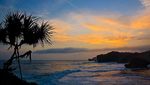 Tergoda Eksotisme Pantai Kukup Gunungkidul