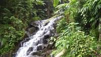 Air Terjun Irenggolo yang tidak terlalu tinggi memiliki bentuk berundak dengan bebatuan yang ada di tebingnya