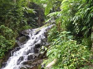Tergoda Gemericik Air Terjun Irenggolo