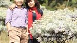 Tergoda Pesona Padang Edelweiss di Suryakencana