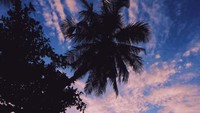 Anak-anak bermain di tepi pantai