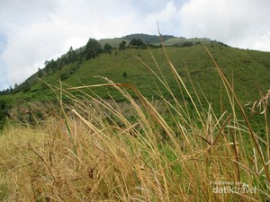 Terhalang Kabut Saat Mendaki Gunung Sipiso-Piso