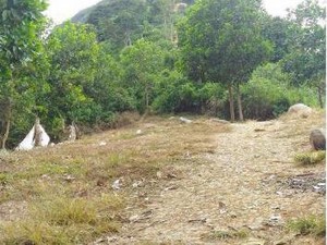 Terjalnya Jalur Gunung Batu Jonggol yang Menakjubkan