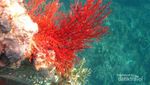 Terjebak Badai di Karimunjawa
