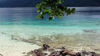 Hamparan pasir putih dan jernihnya air Pulau Tiga
