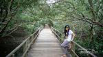 Ternyata Demak Punya Hutan Mangrove Secantik Ini