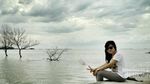 Ternyata Demak Punya Hutan Mangrove Secantik Ini