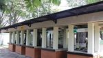 Ternyata Komodo Juga Ada di Jakarta