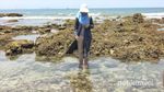 Ternyata, Pulau Nusakambangan Seindah ini!