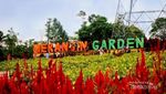 Terpana Merangin Garden yang Penuh Warna