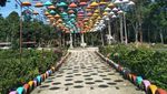 Terpana Merangin Garden yang Penuh Warna