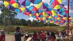 Terpana Merangin Garden yang Penuh Warna