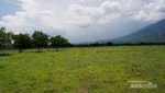 Terpesona Afrika di Taman Nasional Baluran