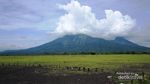 Terpesona Afrika di Taman Nasional Baluran