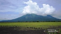 Pesona Gunung Baluran dari titik savana