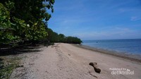 Pantai Bama
