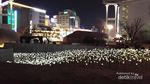 Terpesona dengan Seoul, Kota yang Kental dengan Leluhurnya