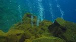Terpesona Gunung Api Bawah Laut Pulau Mahengetang, Sulut