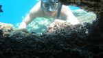 Terpesona Indahnya Alam Bawah Laut Pantai Olele di Gorontalo