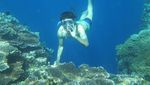 Terpesona Indahnya Alam Bawah Laut Pantai Olele di Gorontalo
