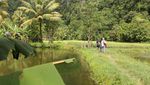 Terpesona Indahnya Rammang-rammang di Sulawesi Selatan