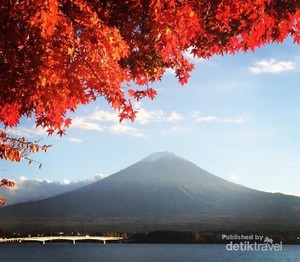 Terpesona Keindahan Musim Gugur di Kawaguchiko, Jepang