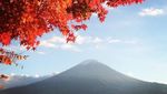 Terpesona Keindahan Musim Gugur di Kawaguchiko, Jepang