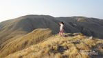 Terpesona Padang Rumput di Gili Lawa Darat, Flores