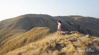 Padang rumput dan bukit yang cokelat keemasan