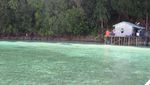Terpesona Pulau Kakaban
