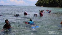 Snorkling di sekitar dermaga Pulau Kakaban