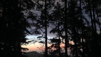 Mengintip lembayung senja di balik rapatnya hutan pinus Taman Wisata Gunung Pancar.
