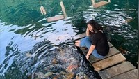 Situ Cicerem memiliki banyak ikan.
