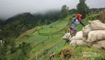 Tersembunyi di Lereng Gunung Lawu, Desa Genilangit Keren Juga