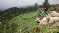 Mata pencaharian masyarakat sekitar dengan mencari rumput