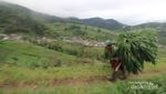 Tersembunyi di Lereng Gunung Lawu, Desa Genilangit Keren Juga